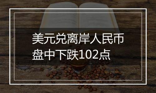 美元兑离岸人民币盘中下跌102点