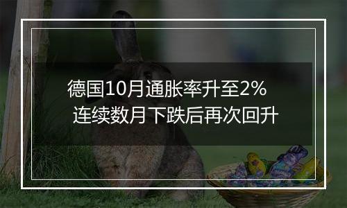 德国10月通胀率升至2% 连续数月下跌后再次回升