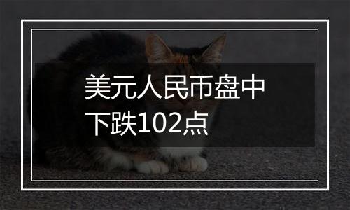 美元人民币盘中下跌102点