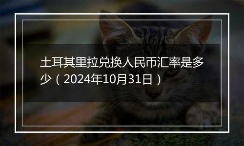 土耳其里拉兑换人民币汇率是多少（2024年10月31日）