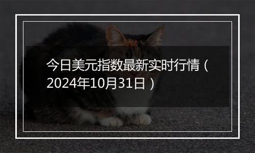 今日美元指数最新实时行情（2024年10月31日）