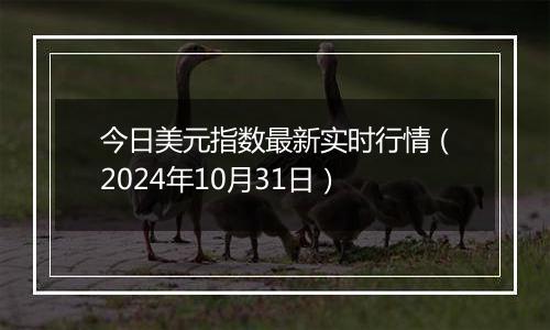 今日美元指数最新实时行情（2024年10月31日）