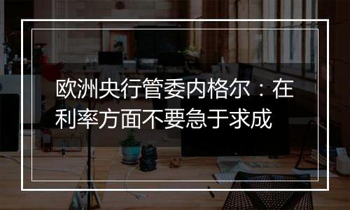 欧洲央行管委内格尔：在利率方面不要急于求成