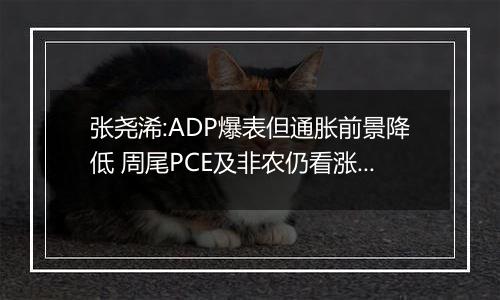 张尧浠:ADP爆表但通胀前景降低 周尾PCE及非农仍看涨为主