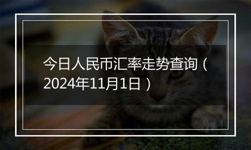 今日人民币汇率走势查询（2024年11月1日）