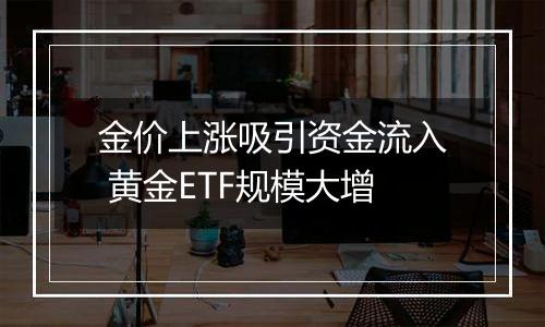 金价上涨吸引资金流入 黄金ETF规模大增