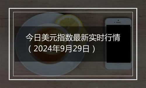 今日美元指数最新实时行情（2024年9月29日）