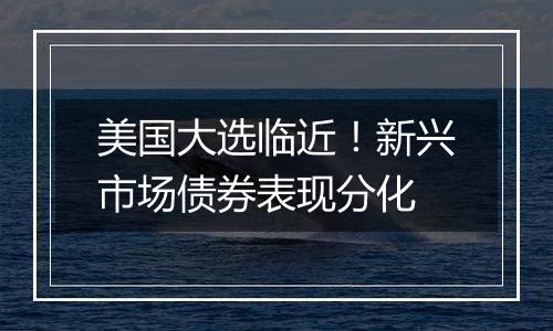 美国大选临近！新兴市场债券表现分化