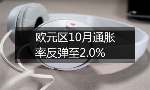 欧元区10月通胀率反弹至2.0%