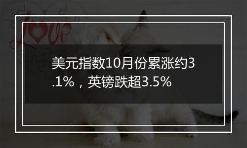 美元指数10月份累涨约3.1%，英镑跌超3.5%