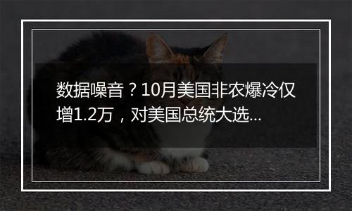 数据噪音？10月美国非农爆冷仅增1.2万，对美国总统大选与美联储政策有何影响