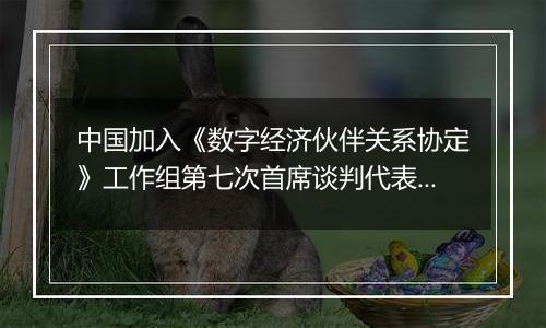 中国加入《数字经济伙伴关系协定》工作组第七次首席谈判代表会议在上海举行