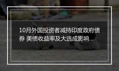 10月外国投资者减持印度政府债券 美债收益率及大选成影响因素