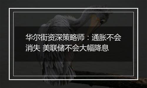 华尔街资深策略师：通胀不会消失 美联储不会大幅降息