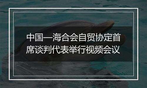 中国—海合会自贸协定首席谈判代表举行视频会议