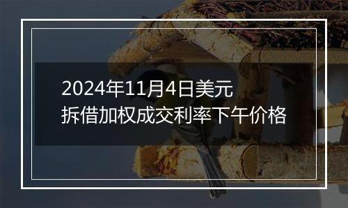 2024年11月4日美元拆借加权成交利率下午价格