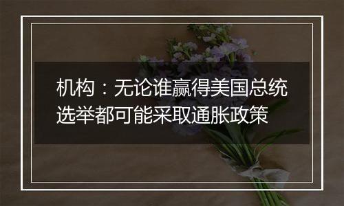 机构：无论谁赢得美国总统选举都可能采取通胀政策