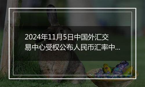 2024年11月5日中国外汇交易中心受权公布人民币汇率中间价公告