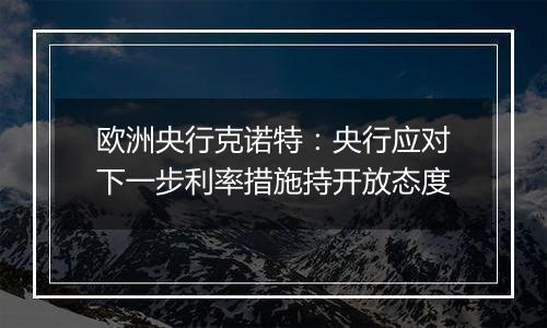 欧洲央行克诺特：央行应对下一步利率措施持开放态度