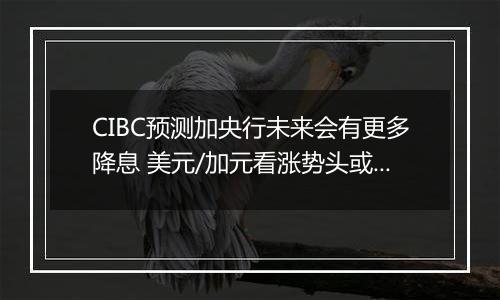 CIBC预测加央行未来会有更多降息 美元/加元看涨势头或开始转变