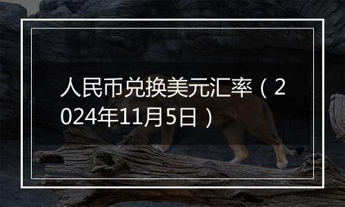 人民币兑换美元汇率（2024年11月5日）