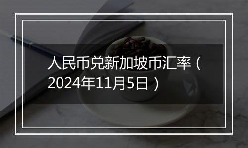 人民币兑新加坡币汇率（2024年11月5日）