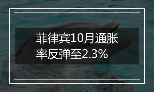 菲律宾10月通胀率反弹至2.3%