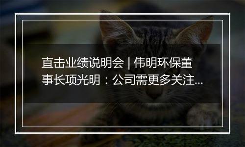 直击业绩说明会 | 伟明环保董事长项光明：公司需更多关注东南亚地区国别、合规、汇率等风险