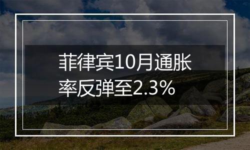 菲律宾10月通胀率反弹至2.3%