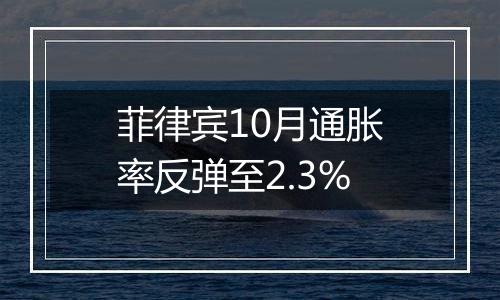 菲律宾10月通胀率反弹至2.3%