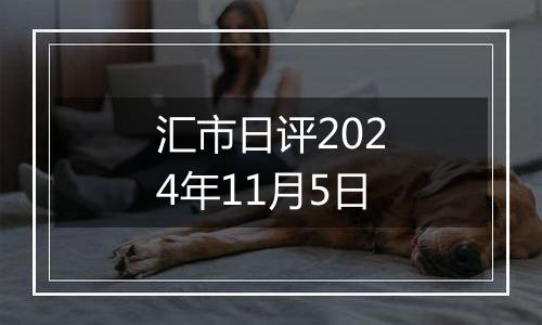 汇市日评2024年11月5日