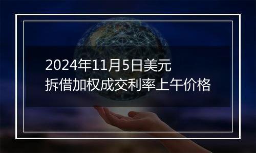 2024年11月5日美元拆借加权成交利率上午价格