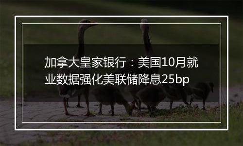 加拿大皇家银行：美国10月就业数据强化美联储降息25bp