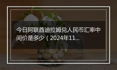 今日阿联酋迪拉姆兑人民币汇率中间价是多少（2024年11月5日）