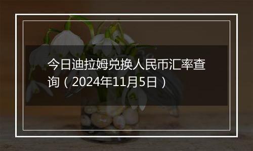 今日迪拉姆兑换人民币汇率查询（2024年11月5日）