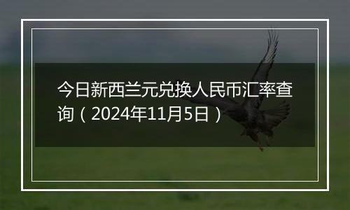 今日新西兰元兑换人民币汇率查询（2024年11月5日）