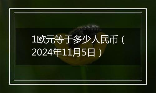 1欧元等于多少人民币（2024年11月5日）