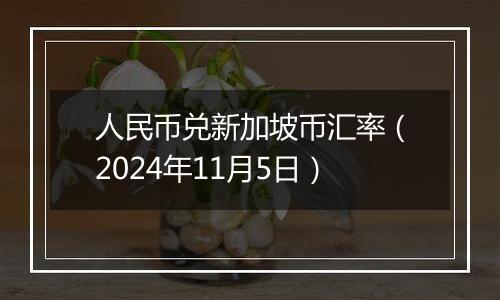 人民币兑新加坡币汇率（2024年11月5日）