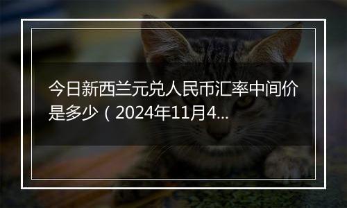 今日新西兰元兑人民币汇率中间价是多少（2024年11月4日）