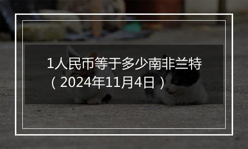 1人民币等于多少南非兰特（2024年11月4日）