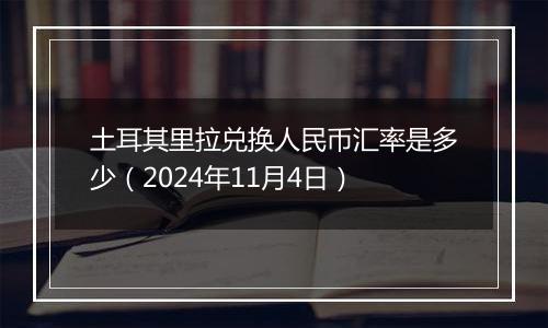 土耳其里拉兑换人民币汇率是多少（2024年11月4日）