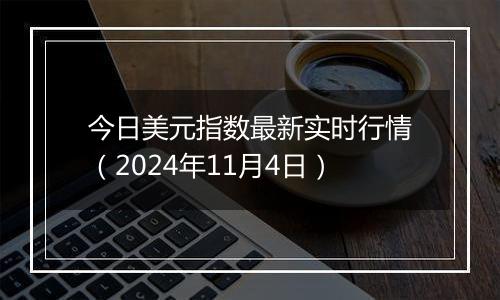 今日美元指数最新实时行情（2024年11月4日）