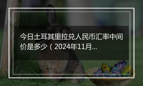 今日土耳其里拉兑人民币汇率中间价是多少（2024年11月1日）