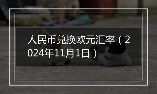 人民币兑换欧元汇率（2024年11月1日）