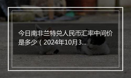 今日南非兰特兑人民币汇率中间价是多少（2024年10月31日）