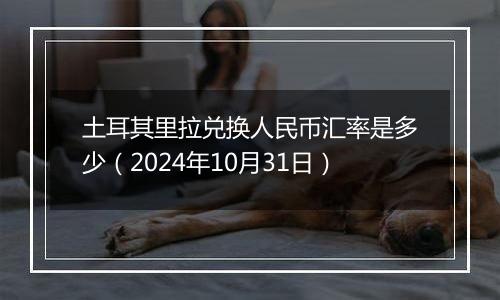 土耳其里拉兑换人民币汇率是多少（2024年10月31日）