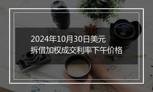 2024年10月30日美元拆借加权成交利率下午价格