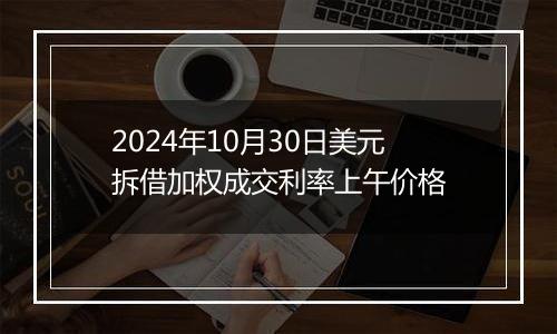 2024年10月30日美元拆借加权成交利率上午价格