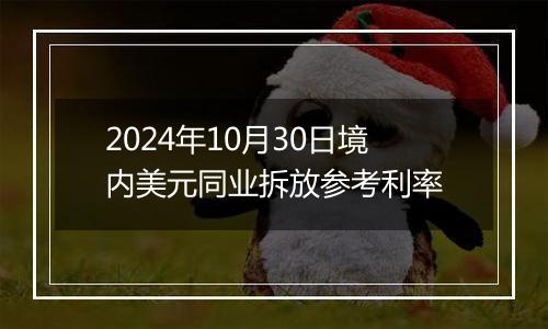 2024年10月30日境内美元同业拆放参考利率