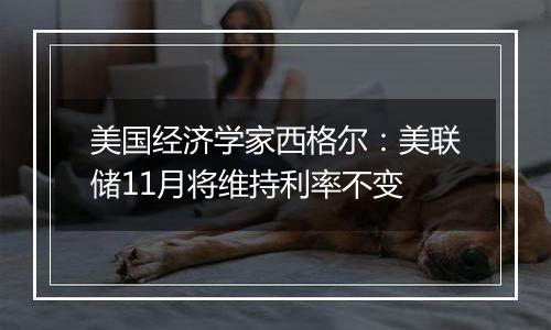 美国经济学家西格尔：美联储11月将维持利率不变